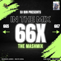 In The Mix 666
