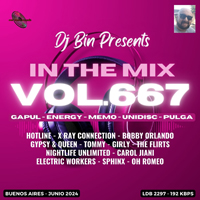 In The Mix 667