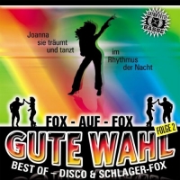 Gute Wahl Best Of Disco & Schlager-Fox Folge 2